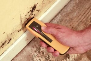 Preventing Mold Growth in Austin: Essential Moisture Control Tips for Homeowners